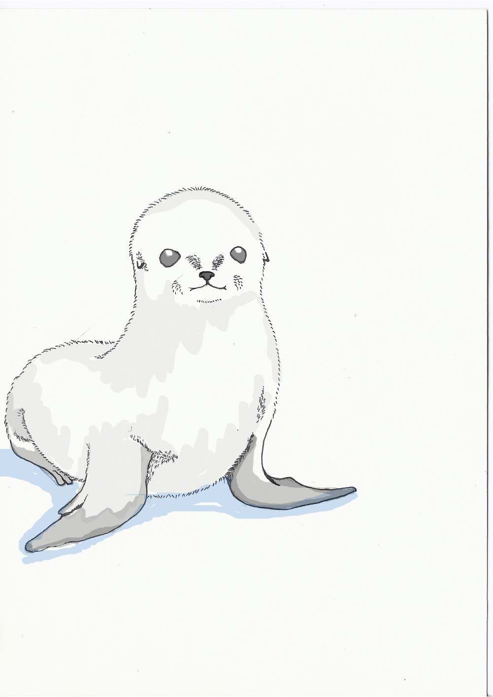 baby cat and baby seal coloring pages - photo #29